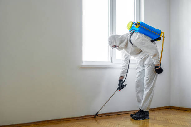 Phoenix Lake, CA Pest Control Company