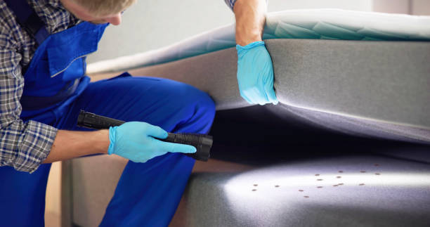 Best Pest Removal Services  in Phoenix Lake, CA